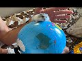 What will a hamster do if it is placed on a globe?🐹