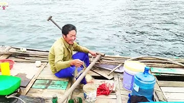TRẢI NGHIỆM MỘT NGÀY LÀM NGƯ DÂN ĐI CÂU CÁ SONG CÁ VƯỢC TRÊN VỊNH BÁI TỬ LONG// đạt bùi vlog 1985