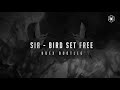 Sia  - Bird Set Free (Udex Bootleg)