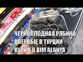 ЧЕРНОПЛОДНАЯ РЯБИНА ИЛИ АРОНИЯ ПОЯВИЛАСЬ В ЭТОМ ГОДУ ВПЕРВЫЕ В ТУРЦИИ АЛАНЬЯ МАГАЗИН БИМ СЕНТЯБРЬ