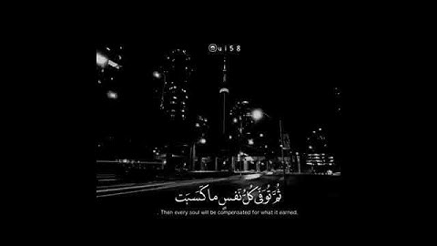 {وَاتَّقُواْ يَوْماً تُرْجَعُونَ فِيهِ إِلَى اللّهِ ..} الآية:281