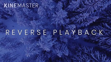 Reverse Playback Effect | 2020 | How to Rewind | Reverse video in Kinemaster