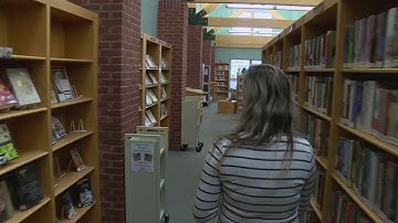 Libraries in the Digital Age