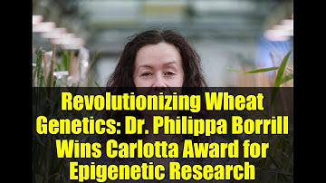 Revolutionizing Wheat Genetics: Dr. Philippa Borrill Wins Carlotta Award for Epigenetic Research