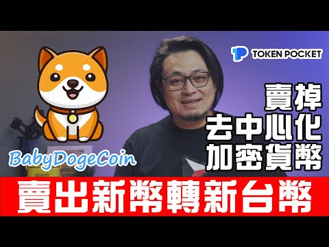 如何賣掉 Baby Doge Coin 寶貝狗幣 換回台幣 超清楚 完整教學 去中心化交易所賣幣成就解鎖 抽獎結束 