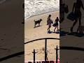 May 18, 2026 Pretty Woman at The Beach NorCal Santa Cruz CA #socal #prettywoman #beach #girls #cute