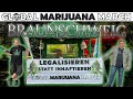 Global marijuana march in braunschweig 420  gmm 2023