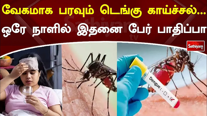 வேகமாக பரவும் டெங்கு காய்ச்சல்    ஒரே நாளில் இதனை பேர் பாதிப்பா