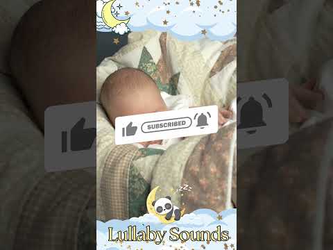 Harmony Of Sleep Melodic Lullabies To Lull Your Sleeping Infant Into Blissful Dreams Cutebaby