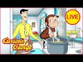 Cooking with george  curious george marathon  kids cartoon  kids movies