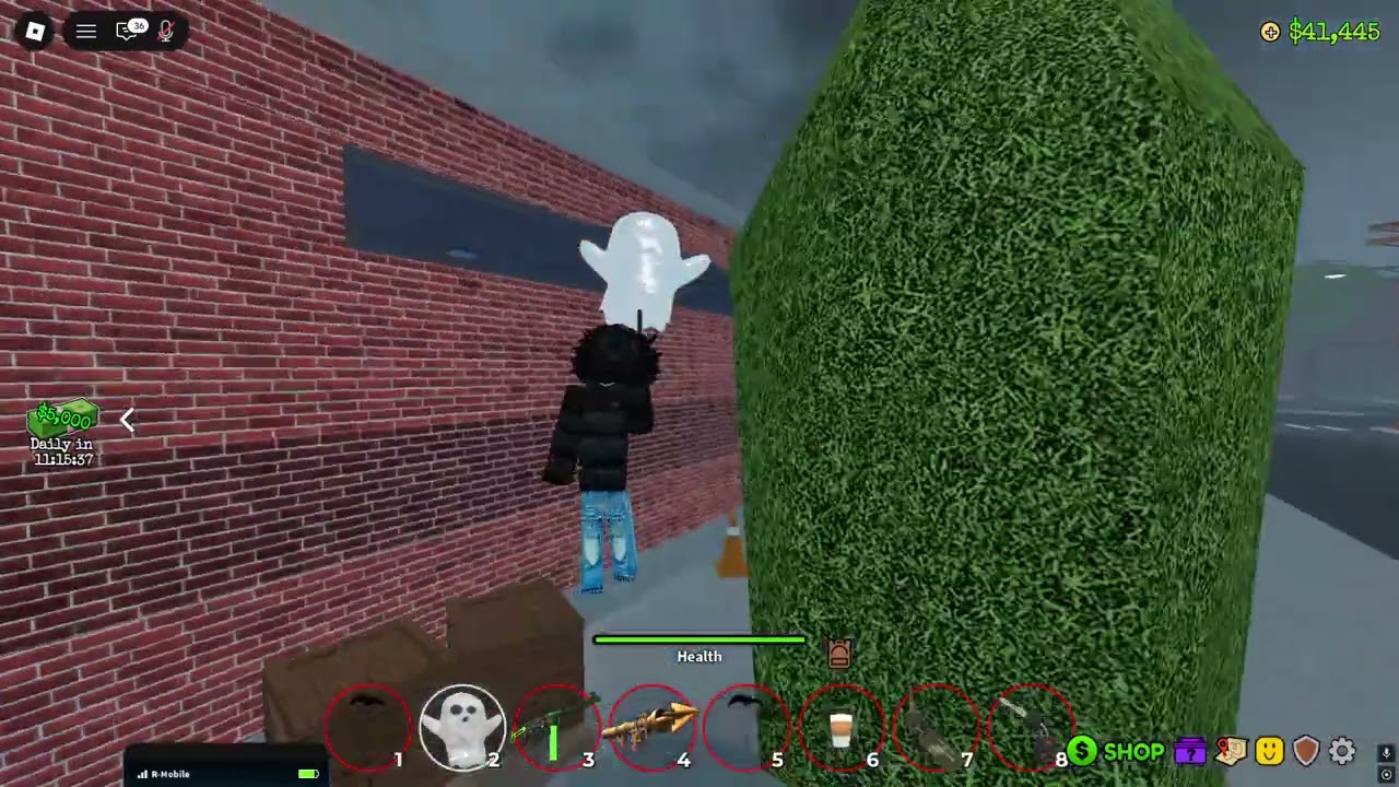 Ohio Solo server Raid