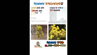 현대해상 아파트 주택담보대출 대부 대환대출 신탁 대환대출 도시형생활주택담보대출 사업자 대환대출
