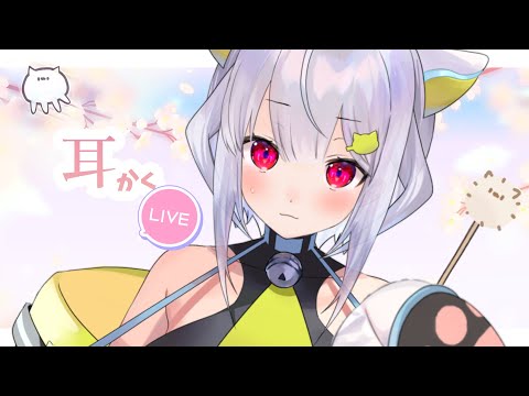 【耳かきASMR】耳をかき… ₍ᐢ- ̫-ᐢ₎っ👂【はるさめ ねここ/Vtuber】