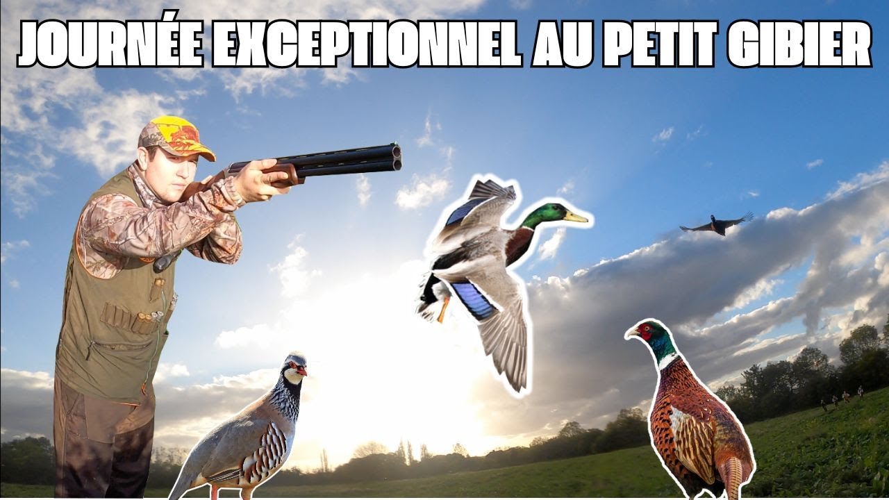 Une Journée de Chasse entre Copains avec des Canards, des Faisans et de la Perdrix!