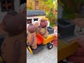 Erdan encounters a snail by chance, excavator toy, mini tricycle
