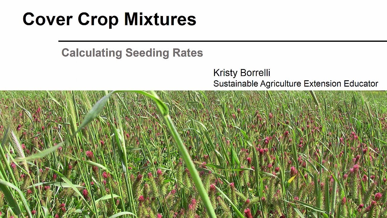 Cover Crop Seeding Rate Chart