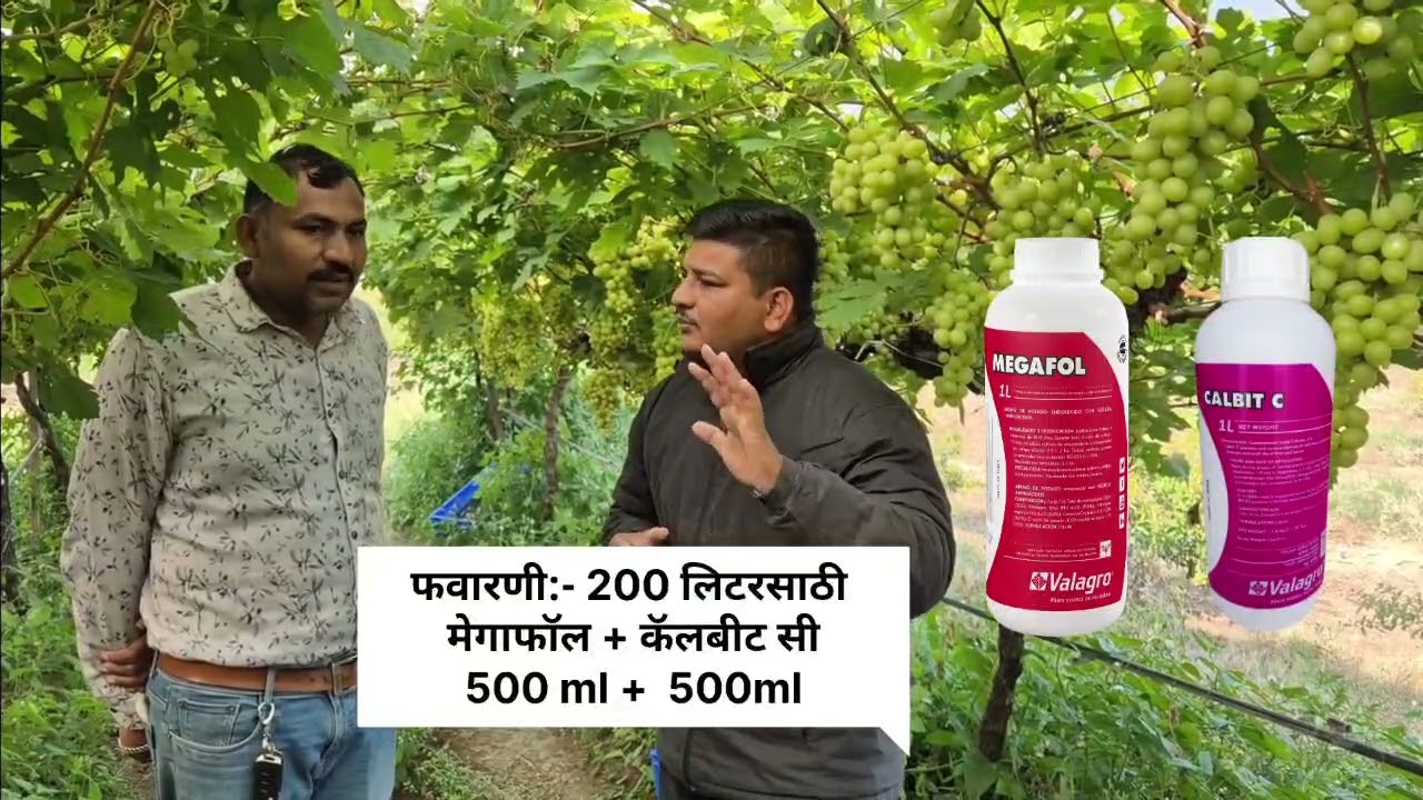 Valagro Bioscience Solution User Plot 🌱#grape #farming 