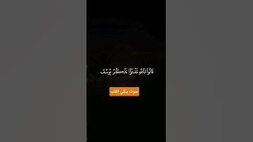 اجمل تلاوة فضيلة الشيخ سعود الفايز #تلاوة_خاشعة #قرآن #راحة_نفسية #اكسبلور #funny #لايك #quran