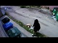 Garbage Adventures Lady Is A Regular Around The Bins Piss Cup Tracker Garbage Adventures Lady Is A Regular Around The Bins Piss Cup Tracker