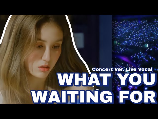 What You Waiting For SOMI Concert Ver. (Live Vocal) class=