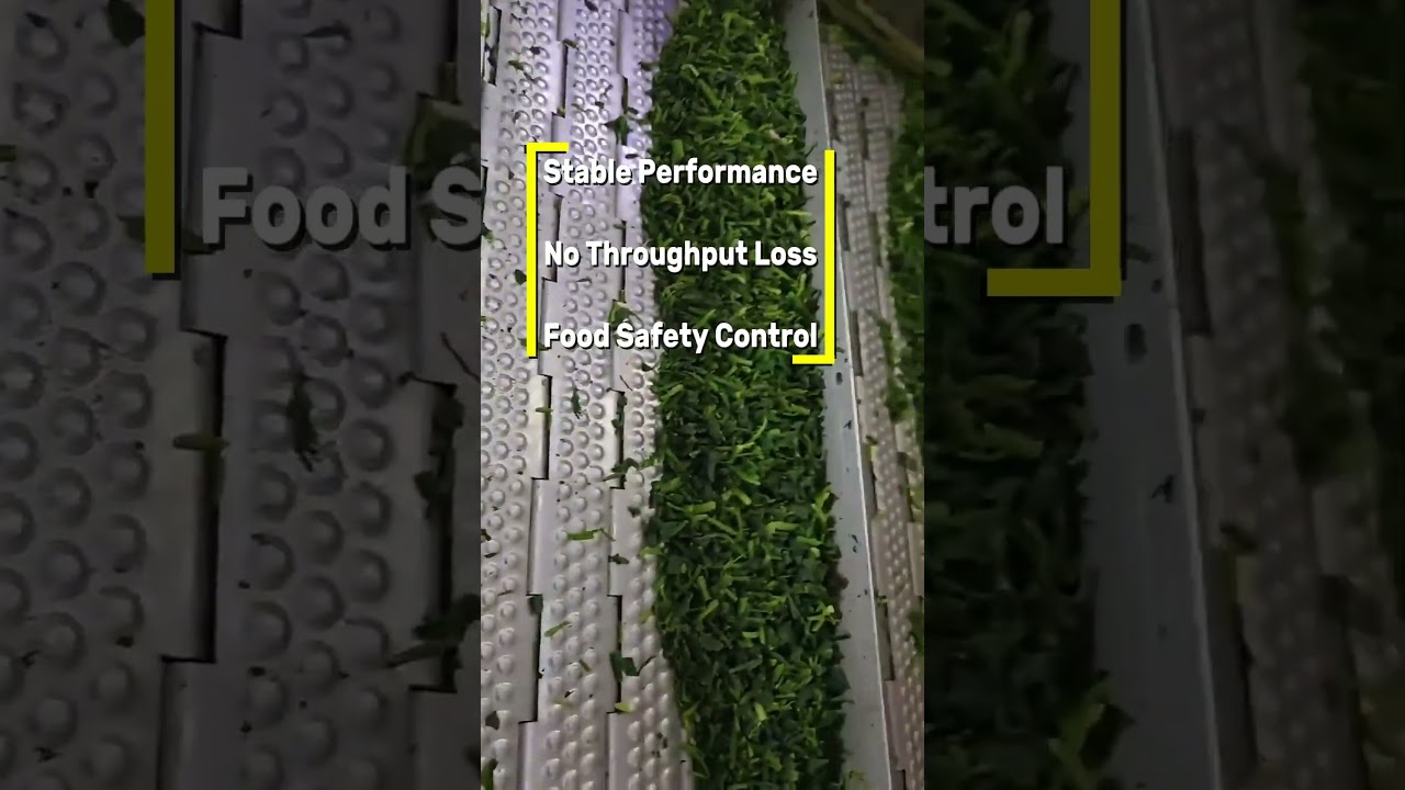 Frozen Vegetable Color Sorter | High-Capacity AI Sorting for IQF Processing #colorsorter