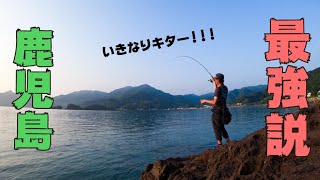 鹿児島県ならエギング素人でも100%アオリイカが釣れる説