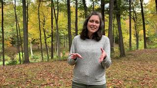 Did You Know (DYK) about the Leaf Collection Program