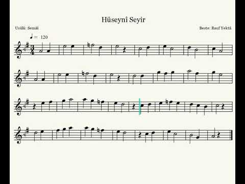 10. Hüseynî Seyir - Rauf Yektâ