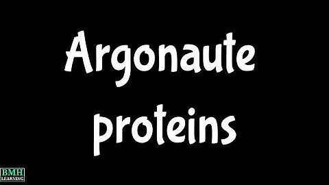 Argonaute Proteins