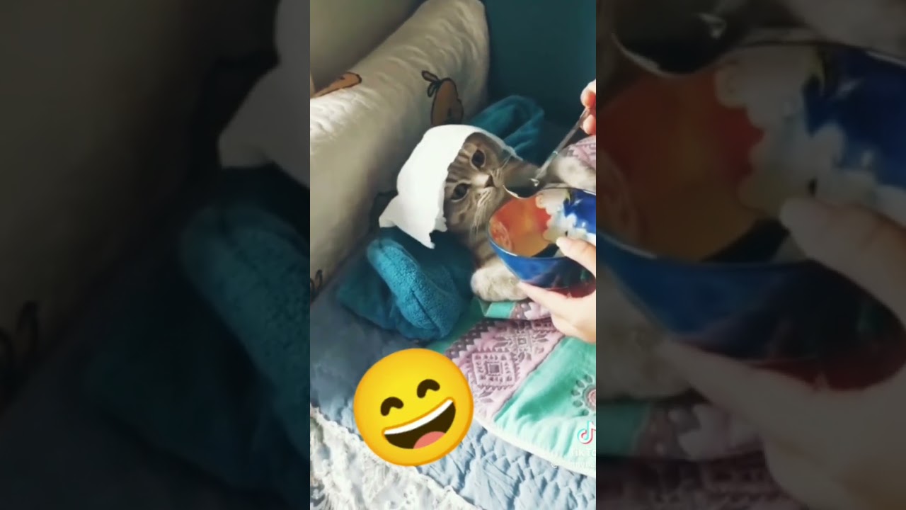 baby are you fine😥🤔😱