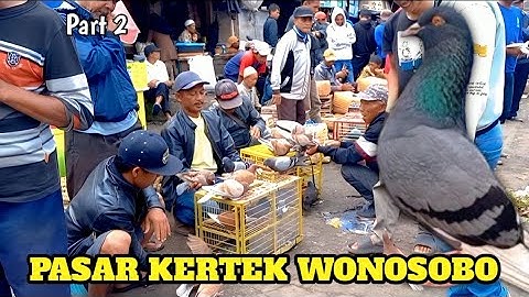 BERBURU MERPATI GIRINGAN LAGI DI PASAR KERTEK WONOSOBO TES TERBANG COCOK BUNGKUS PART 2