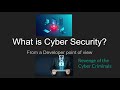 What is Cyber Security from a Developer Point of View: Revenge of the Cyber Criminals