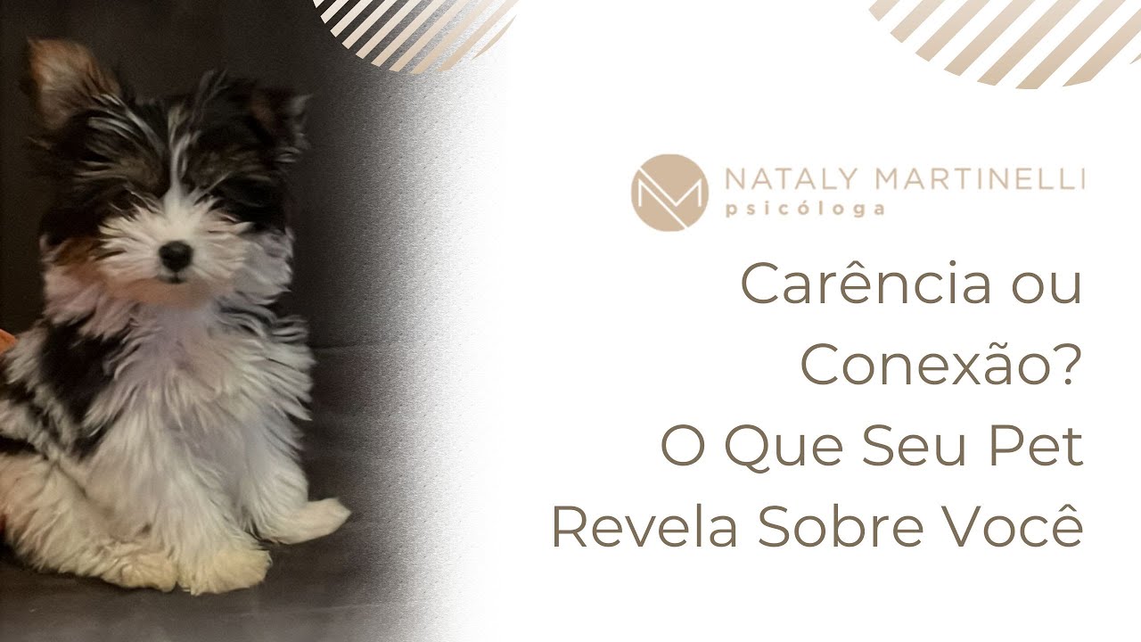 Carência ou conexão? O que seu pet revela sobre você