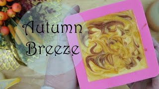 Autumn Breeze French Red Clay Soap - Vegan Handmade Soap - Cabbage Patch Soap