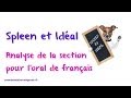 Spleen et ideal