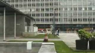 chase armitage   parkour free running