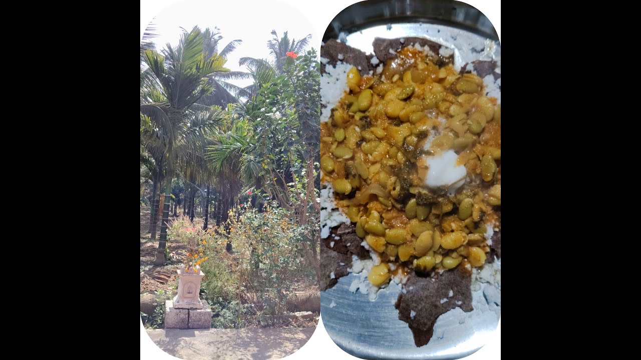 Village vibes# ನಮ್ಮೂರು ನಮಗೆ ಚಂದ 