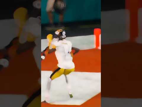 Steelers WR just