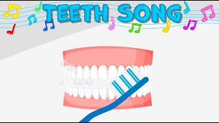 teeth song teeth facts for kids human body song for kids teeth song for kids fun songs