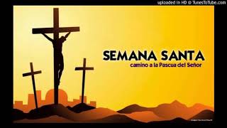 Video thumbnail of "Te Alabaré, Señor, Eternamente - Vigilia Pascual, Sal. 4"