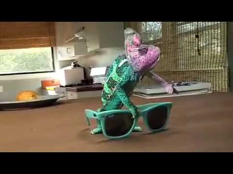 ray-ban-wayfarer-güneş-gözlüğü