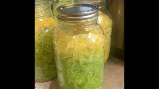 Canning zucchini/squash, and drying seeds
