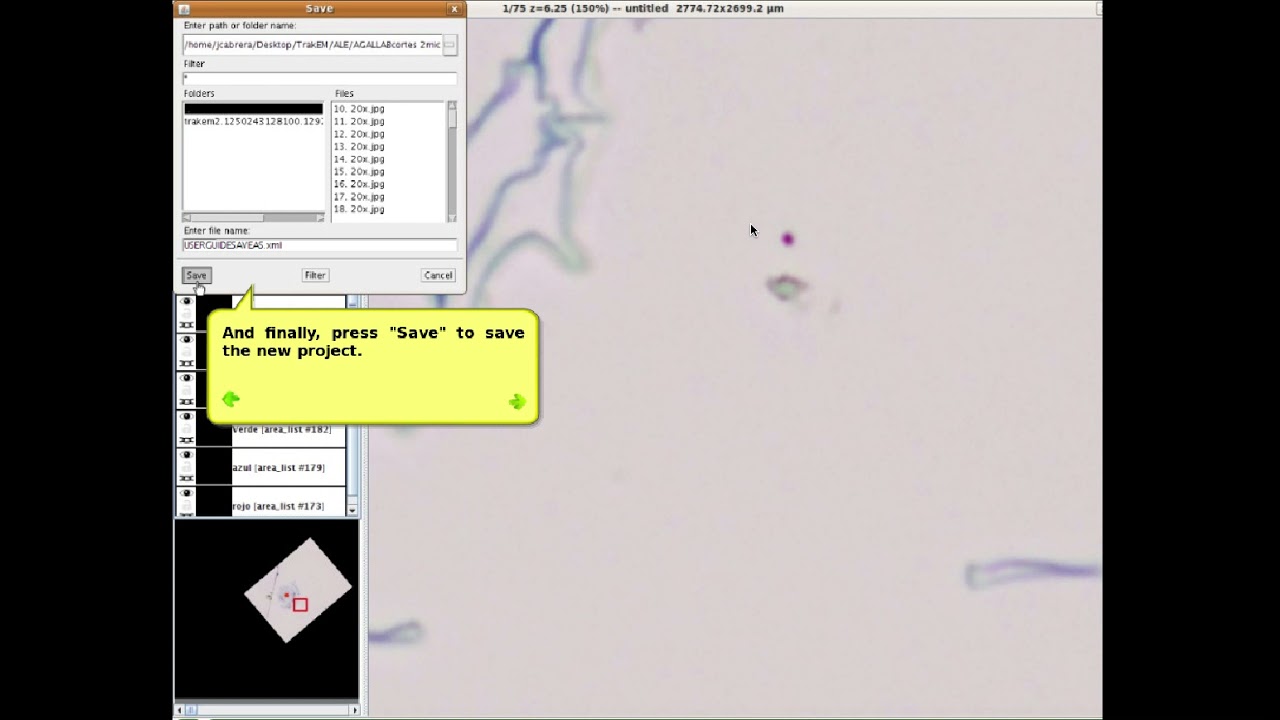TrakEM2 Save As - YouTube