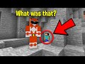 Herobrine spotted in minecraft...