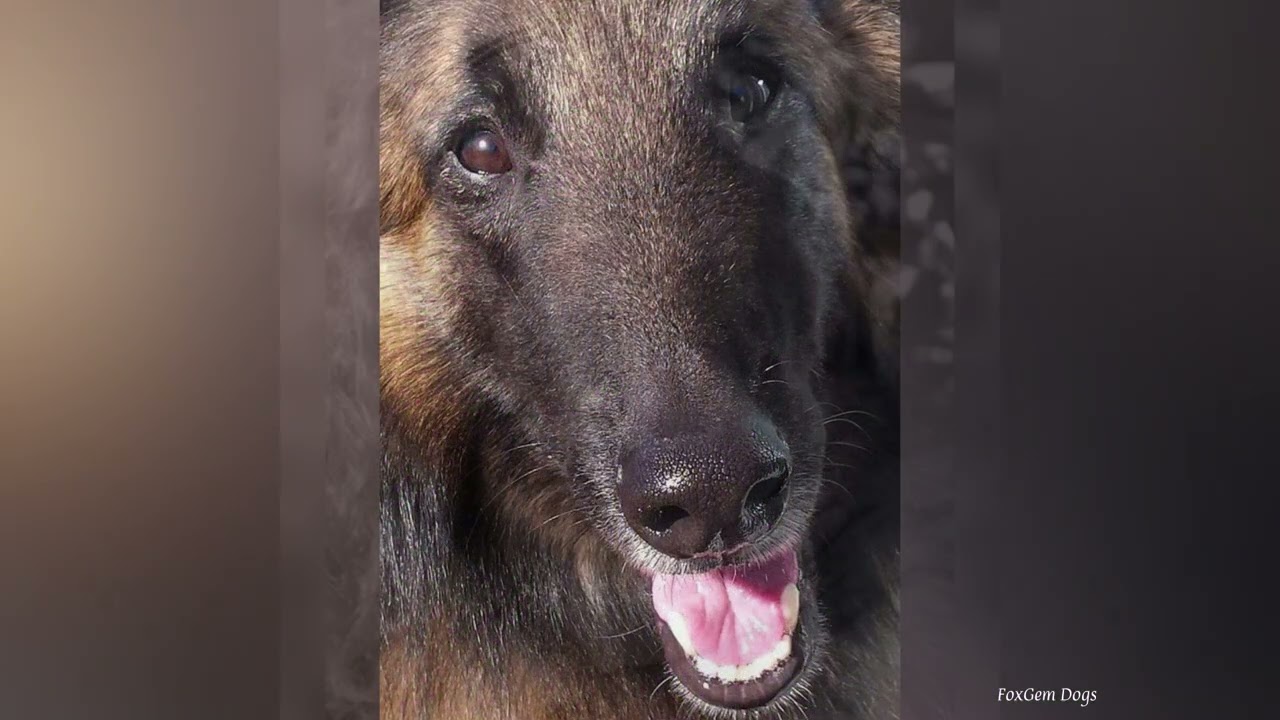 Rest In Peace Bubba Love