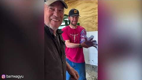 Like a Boss Compilation! Amazing People That Are on Another Level №17