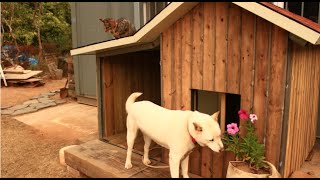 [개집 만들기 2탄]강아지집만들기/개집만들기/강아지하우스 만들기ㅣ시골 강아지집 만들기ㅣ[88번지]살아가는 이야기