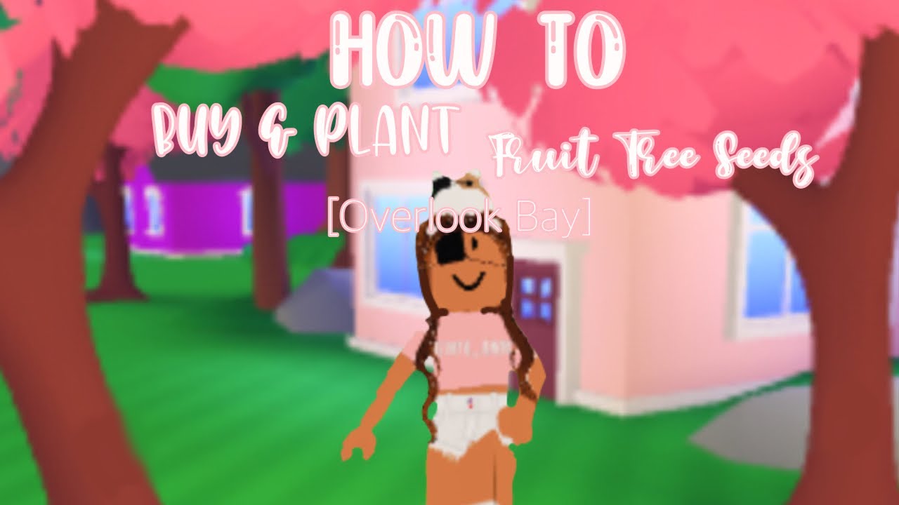 How to Buy & Plant Fruit Seeds // Roblox Overlook Bay