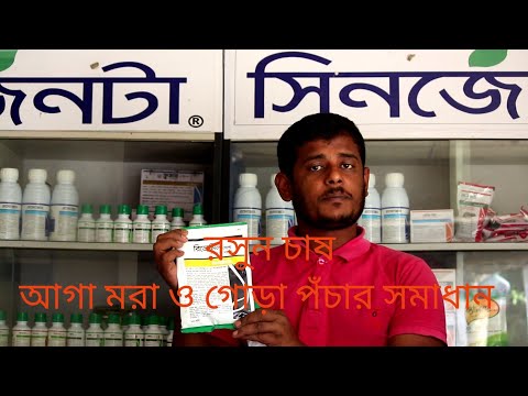 ভিডিও: ক্যালিবার সংঘর্ষ কি করে?