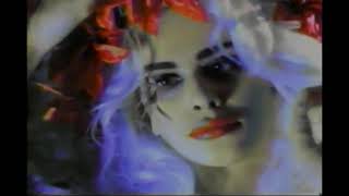 Watch Revenge Deadbeat video